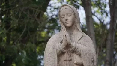 Photo of ¿Por qué se dedica el mes de mayo a la Virgen María?