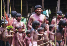 Photo of Niños yanomami convalecen desnutridos en un hospital de la Amazonía brasileña