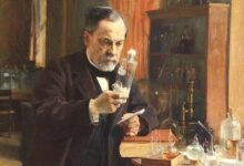 Photo of Louis Pasteur, el químico que más vidas ha salvado en la Historia