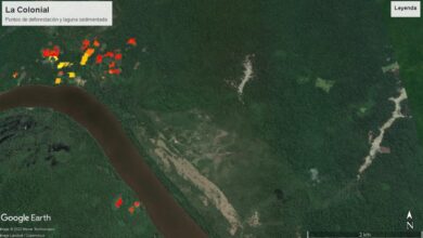 Photo of Crece la deforestación de los bosques del Bajo Caura