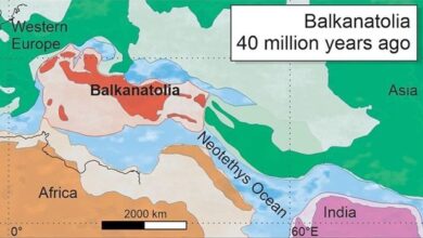 Photo of Hallan un ‘continente perdido’ que emergió hace 40 millones de años en lo que hoy es el Mediterráneo
