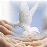 Photo of “La paz os dejo, mi paz os doy”