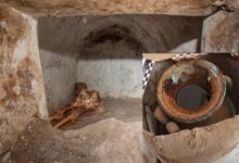 Photo of Hallan en Pompeya un líquido que podría ser el vino más antiguo del mundo