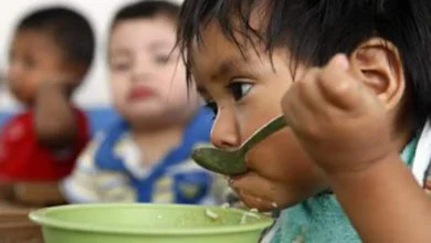 Photo of Cáritas Venezuela: 7 de cada 10 niños menores de 5 años están desnutridos