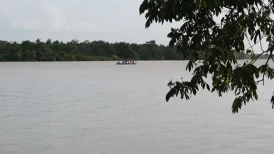 Photo of Amenazan de muerte a waraos en la selva del Delta