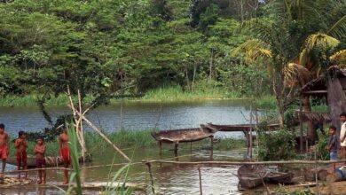 Photo of Foro sobre la Ley Orgánica de la Megareserva de Agua Dulce y Biodiversidad del sur del Orinoco y la Amazonía