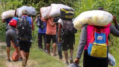 Photo of La inmigración Panameña informó que más de 16.000 venezolanos cruzaron el Darién en julio