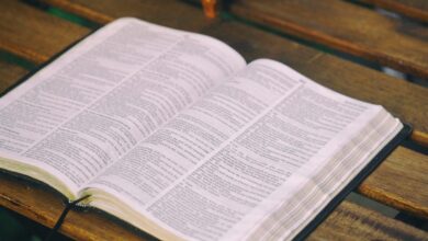 Photo of 10 salmos de la Biblia que pueden animarte en tiempos difíciles
