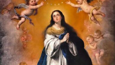 Photo of ¡Feliz Solemnidad de la Inmaculada Concepción!
