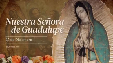 Photo of Virgen de Guadalupe, Emperatriz de América y Patrona de México