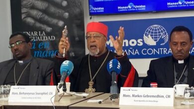 Photo of Cardenal Souraphiel: «La paz está en el aire. Pedimos que callen las armas en Etiopía»