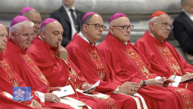 Photo of El Papa Francisco pide a los nuevos arzobispos «dialogar con todos y convertirse en lugar de esperanza»