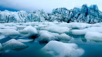 Photo of El Ártico perderá todo su hielo por primera vez en los próximos 20 años