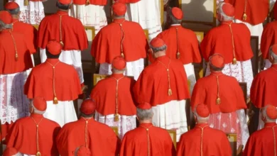 Photo of ¿Cómo se eligen los cardenales? ¿Quién los elige?